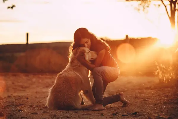 Golden Retriever e Crianças: Por que Eles Formam a Dupla Perfeita?